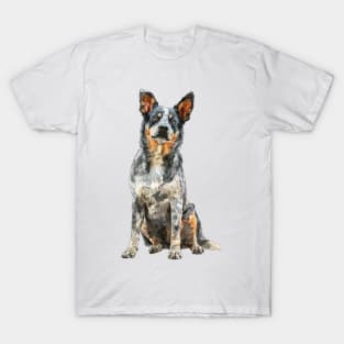 Australian Stumpy Tail Cattle Dog T-Shirt